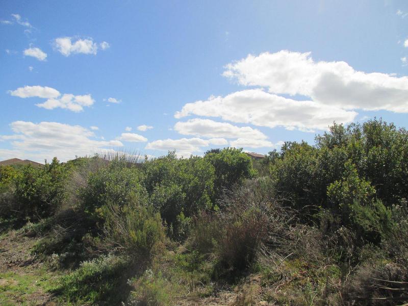 0 Bedroom Property for Sale in Dana Bay Western Cape